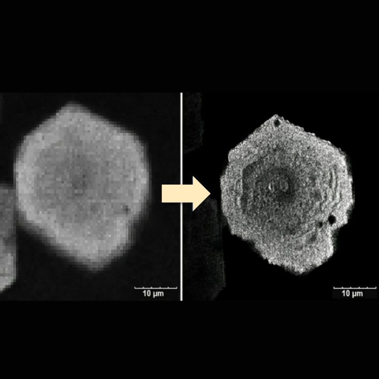 Innovaciones en Tecnologías de Imagen para Patología Anatómica